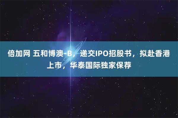 倍加网 五和博澳-B，递交IPO招股书，拟赴香港上市，华泰国际独家保荐