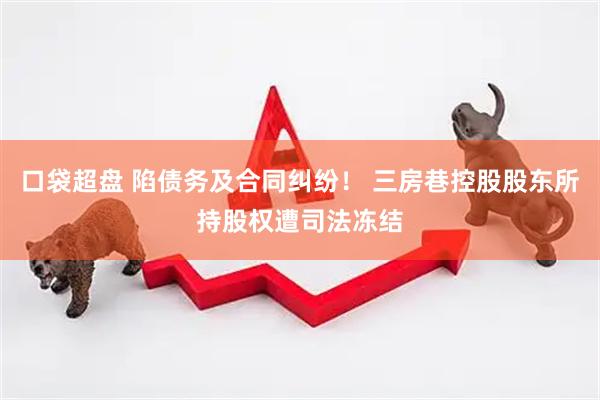 口袋超盘 陷债务及合同纠纷！ 三房巷控股股东所持股权遭司法冻结