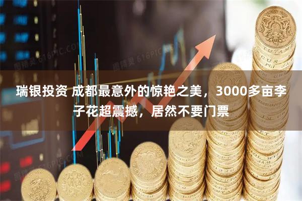 瑞银投资 成都最意外的惊艳之美，3000多亩李子花超震撼，居然不要门票
