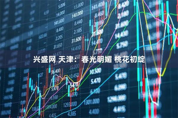 兴盛网 天津：春光明媚 桃花初绽