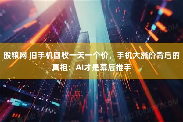 股粮网 旧手机回收一天一个价，手机大涨价背后的真相：AI才是幕后推手