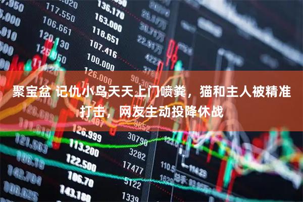 聚宝盆 记仇小鸟天天上门喷粪，猫和主人被精准打击，网友主动投降休战