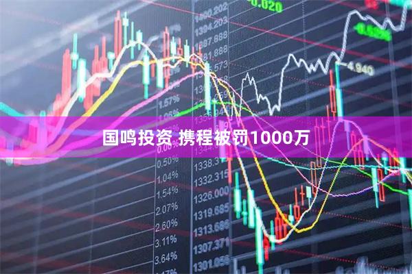 国鸣投资 携程被罚1000万