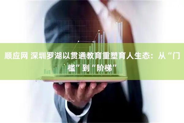 顺应网 深圳罗湖以贯通教育重塑育人生态：从“门槛”到“阶梯”